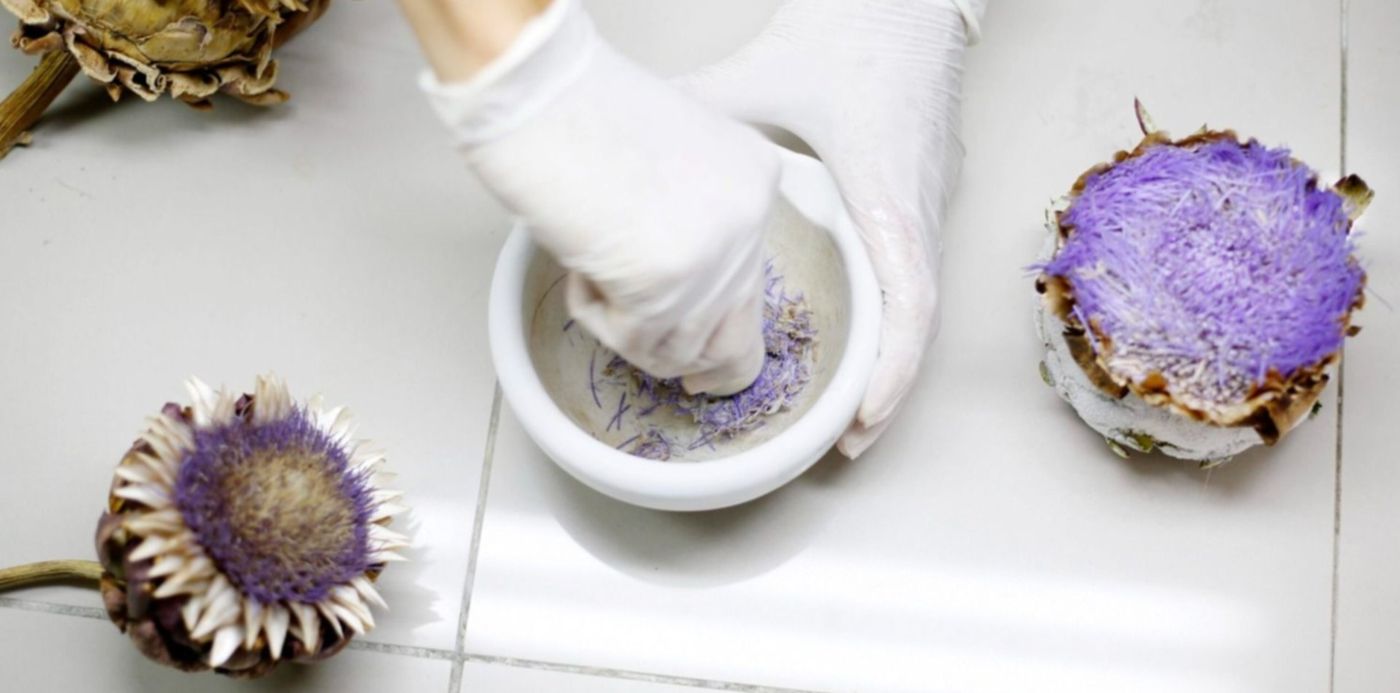 1695404987086.jpg?x=10&y=160&width=1480&height=739&rotate=0&scaleX=1&scaleY=1&ow=1500&oh=999&&cw=1920&ch=950