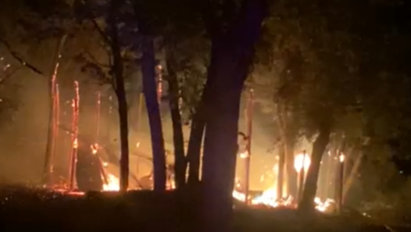 Un voraz incendio destruyó una casilla en la Isla Santiago y las llamas alcanzaron árboles del lugar Un voraz incendio destruyó una casilla en la Isla Santiago y las llamas alcanzaron árboles del lugar