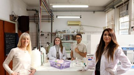 Un estudio de la UNLP demostró los beneficios del cannabis en enfermedades de origen hipertensivo