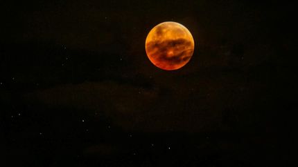 Días, horarios y cómo disfrutarlo: todo lo que hay que saber sobre el eclipse que se podrá ver desde La Plata