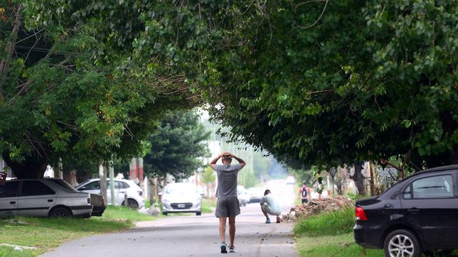 la frase de julio alak sobre el crimen de kim gomez que dejo en shock a la plata