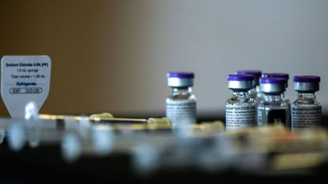 pfizer desmintio coimas y revelo por que no hubo acuerdo con argentina