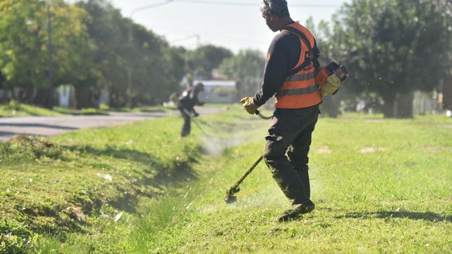 con 150 agentes, la municipalidad realizo un megaoperativo contra el dengue en melchor romero