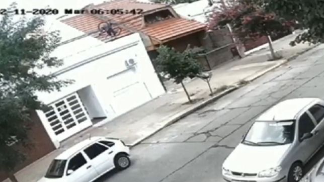video: a plena luz del dia, un hombre arana se metio en una casa de la plata y robo una bicicleta