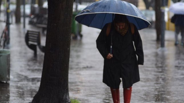 tras las lluvias, el tiempo mejor: asi va a seguir el clima en la plata