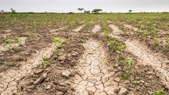 ¿cuanta lluvia hace falta para que la pampa bonaerense se recupere de la sequia?
