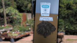 disfrazado con una peluca, un ladron ataco en un vivero de la plata disfrazado con una peluca, un ladron ataco en un vivero de la plata