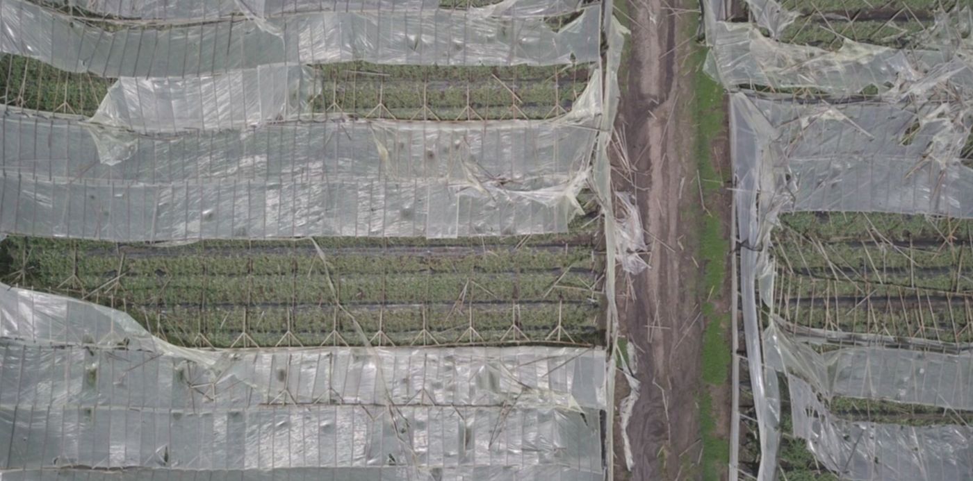 1551305435433.jpg?x=4&scaleX=1&scaleY=1&oh=1125&y=263&width=1493&height=746&rotate=0&ow=1500&&cw=1920&ch=950