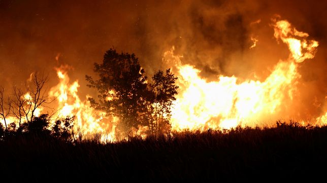 javier milei firmo el dnu para declarar la emergencia ignea en la patagonia