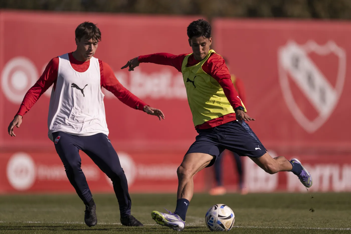 Maxi Meza Independiente