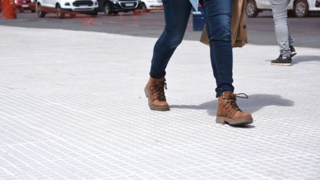 ¿quienes y como pueden inscribirse al plan para recibir baldosas gratis?