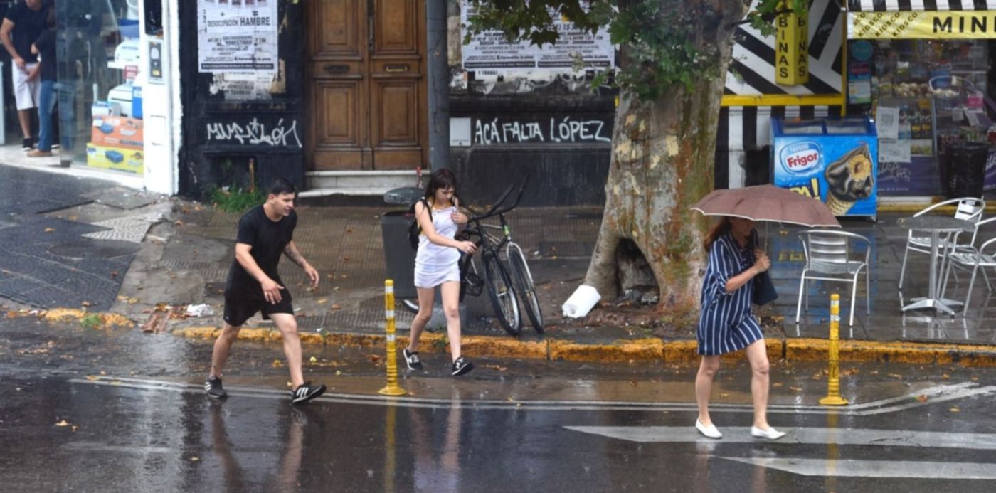 1576850287938.jpg?width=1466&rotate=0&scaleY=1&ow=1500&x=24&y=169&height=733&scaleX=1&oh=998&&cw=1920&ch=950