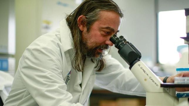 un farmaco oral logra eliminar por completo la transmision del coronavirus en 24 horas