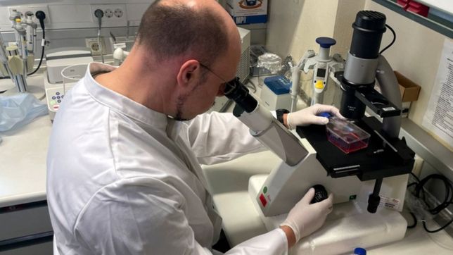 suben los casos de viruela del mono y piden acudir al medico ante pequena lesiones