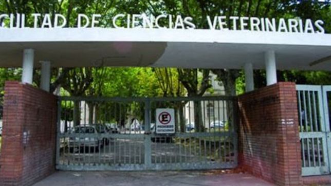 robaron y causaron destrozos en el centro de estudiantes de la facultad de veterinaria de la unlp
