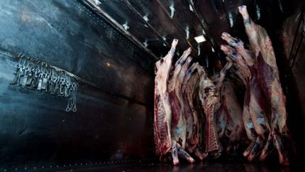 Naftas, pan, carne, plataformas y más: ¿cuáles son los aumentos atados a la devaluación?