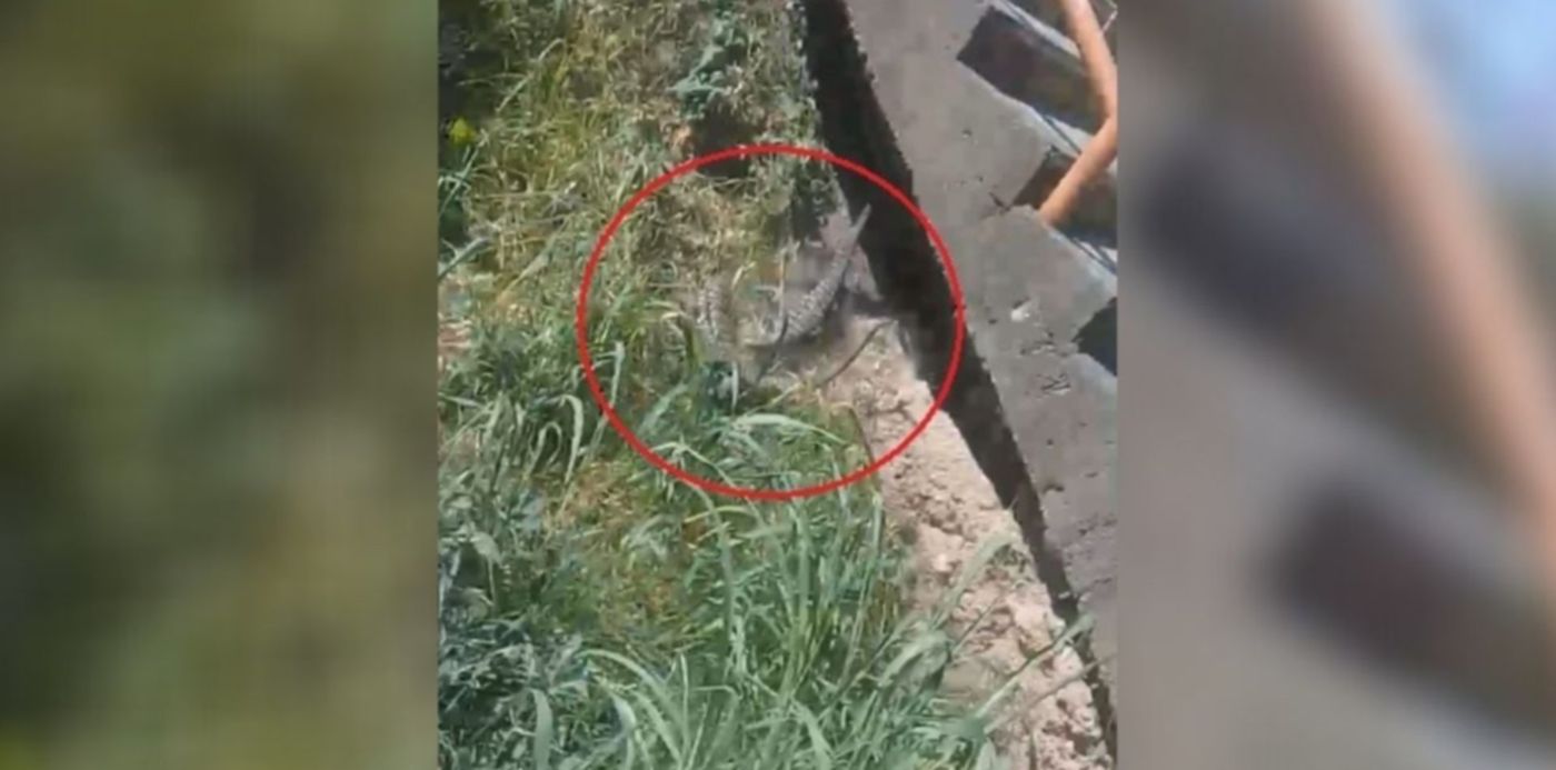 1605731931241.jpg?x=69&y=10&width=1212&height=606&rotate=0&scaleX=1&scaleY=1&ow=1350&oh=650&&cw=1920&ch=950