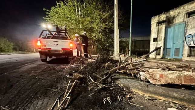la comuna denuncio a un grupo que corto la avenida 520 y saboteo una instalacion de edelap