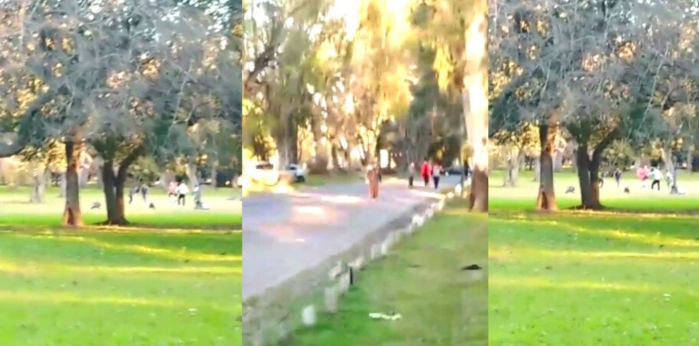 1596022126370.jpg?x=9&y=104&width=1482&height=741&rotate=0&scaleX=1&scaleY=1&ow=1500&oh=963&&cw=1920&ch=950