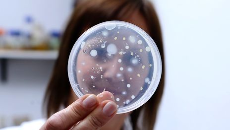 La Provincia financiará once proyectos de innovación de la UNLP pensados para asistir a las PyMEs bonaerenses La Provincia financiará once proyectos de innovación de la UNLP pensados para asistir a las PyMEs bonaerenses