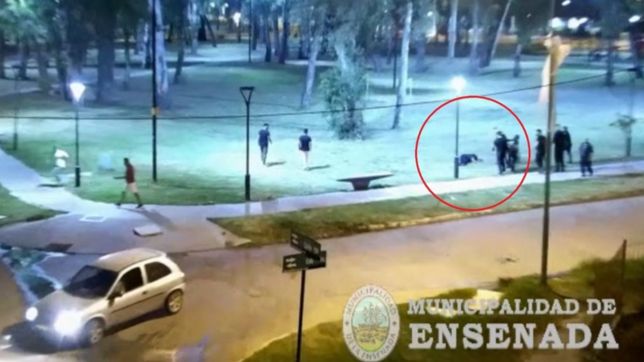 video: desmayaron de un piedrazo a un policia que intervino en un incidente en ensenada