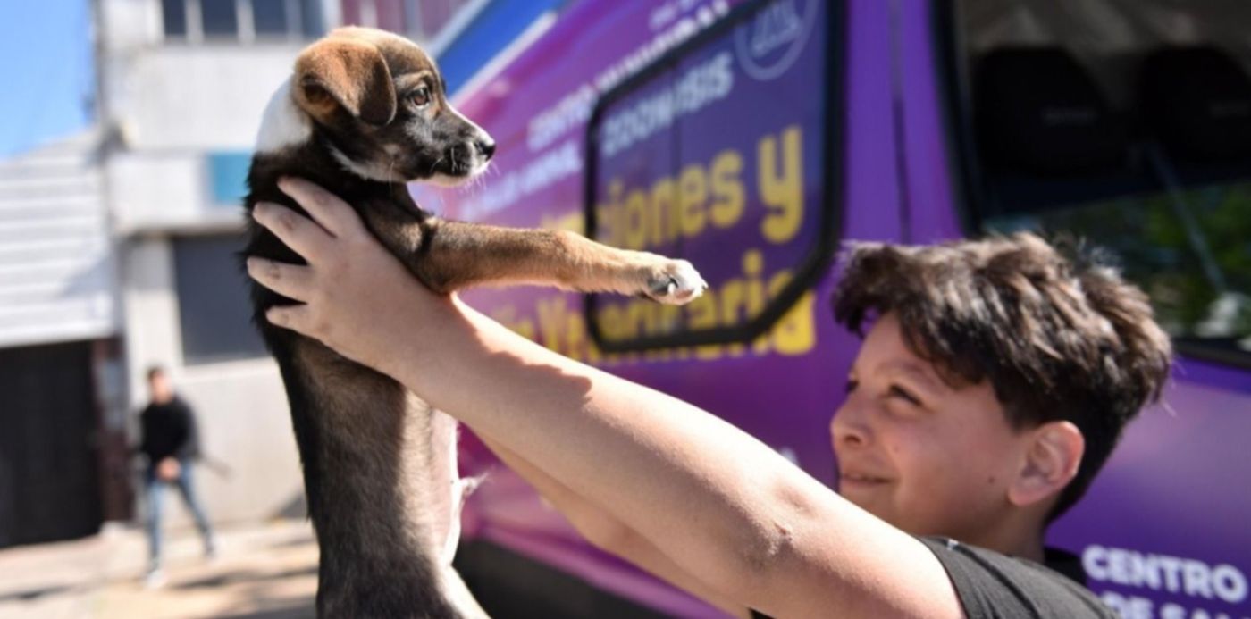 1668111255737.jpeg?x=9&y=160&width=1265&height=633&rotate=0&scaleX=1&scaleY=1&ow=1280&oh=853&&cw=1920&ch=950