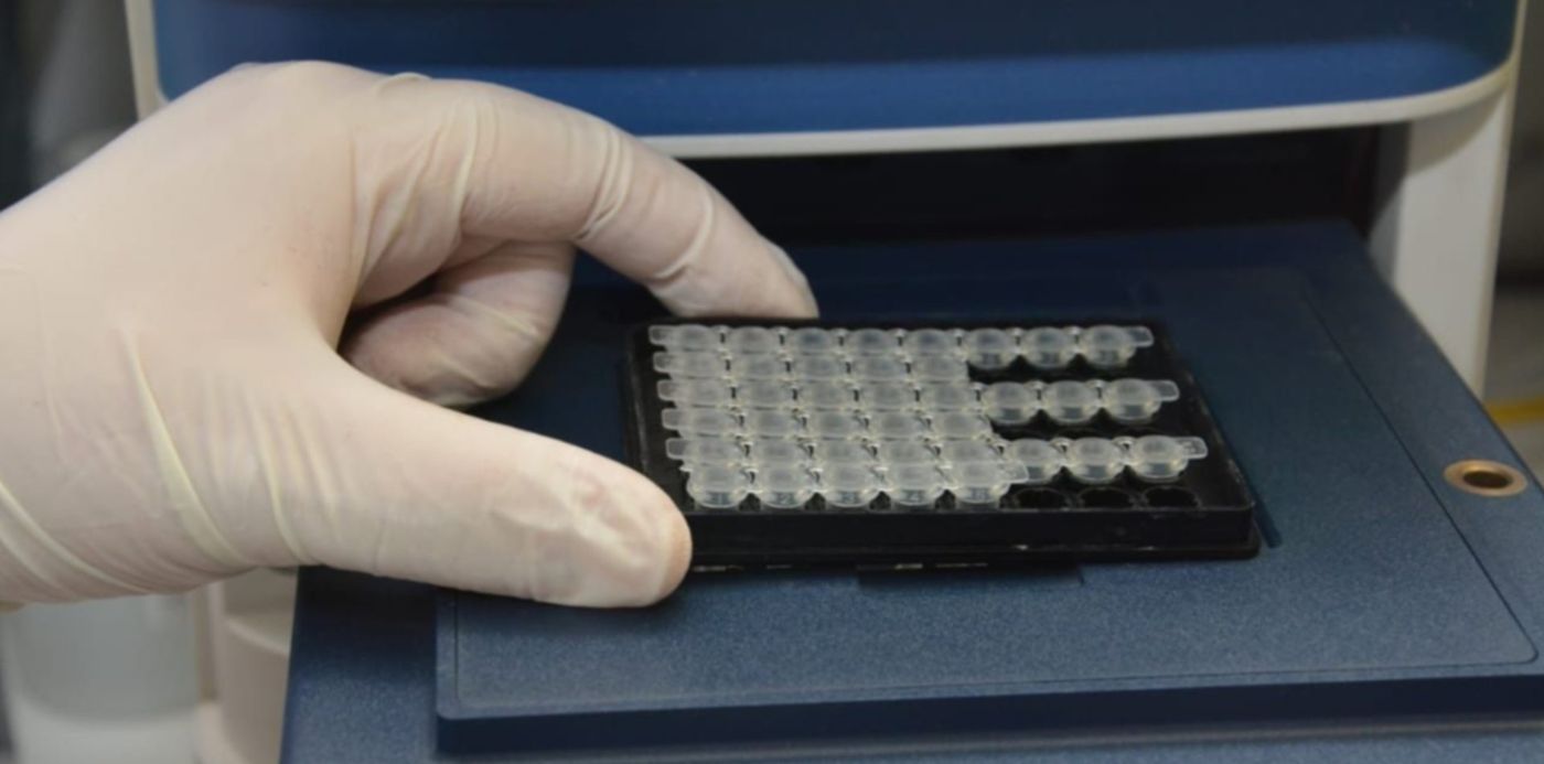 1585875163743.jpeg?width=1274&rotate=0&scaleY=1&x=3&y=48&height=637&scaleX=1&ow=1280&oh=853&&cw=1920&ch=950