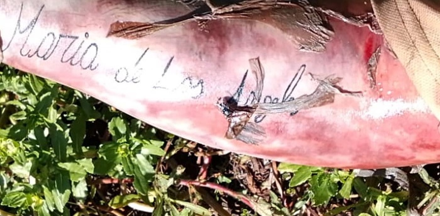 Esperan que los tatuajes permitan identificar al hombre fallecido