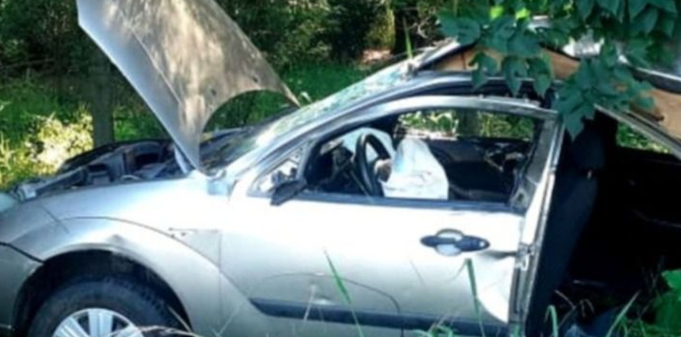 1646420255517.jpg?x=12&y=4&width=713&height=357&rotate=0&scaleX=1&scaleY=1&ow=895&oh=364&&cw=1920&ch=950