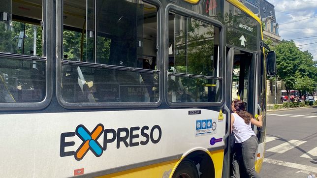 ¿que pasara con el boleto de micro a partir de febrero en la plata?