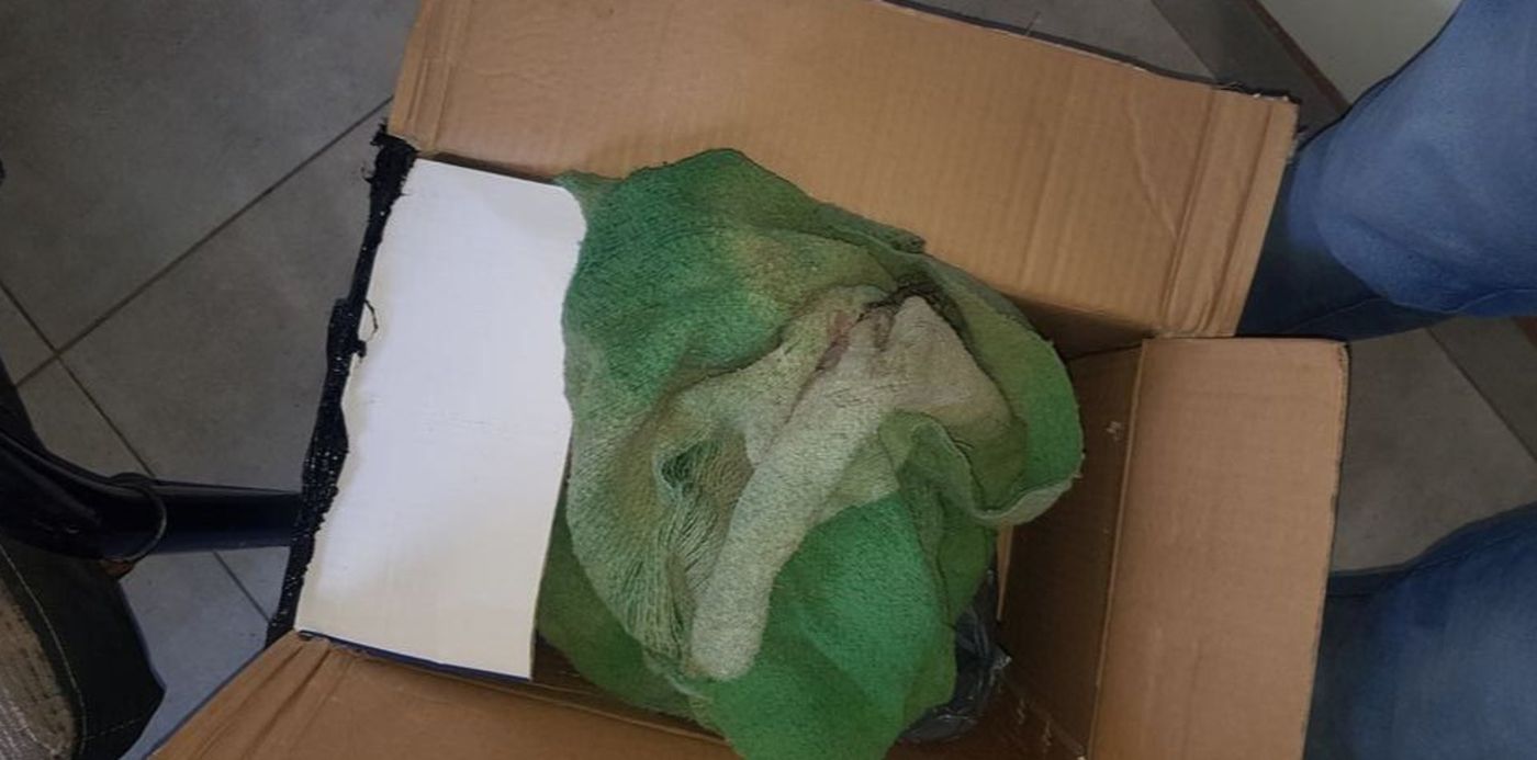 1601942403757.jpeg?x=6&y=7&width=939&height=469&rotate=0&scaleX=1&scaleY=1&ow=991&oh=480&&cw=1920&ch=950