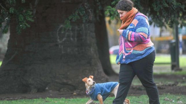 la plata celebrara el dia del animal con concientizacion y atencion veterinaria