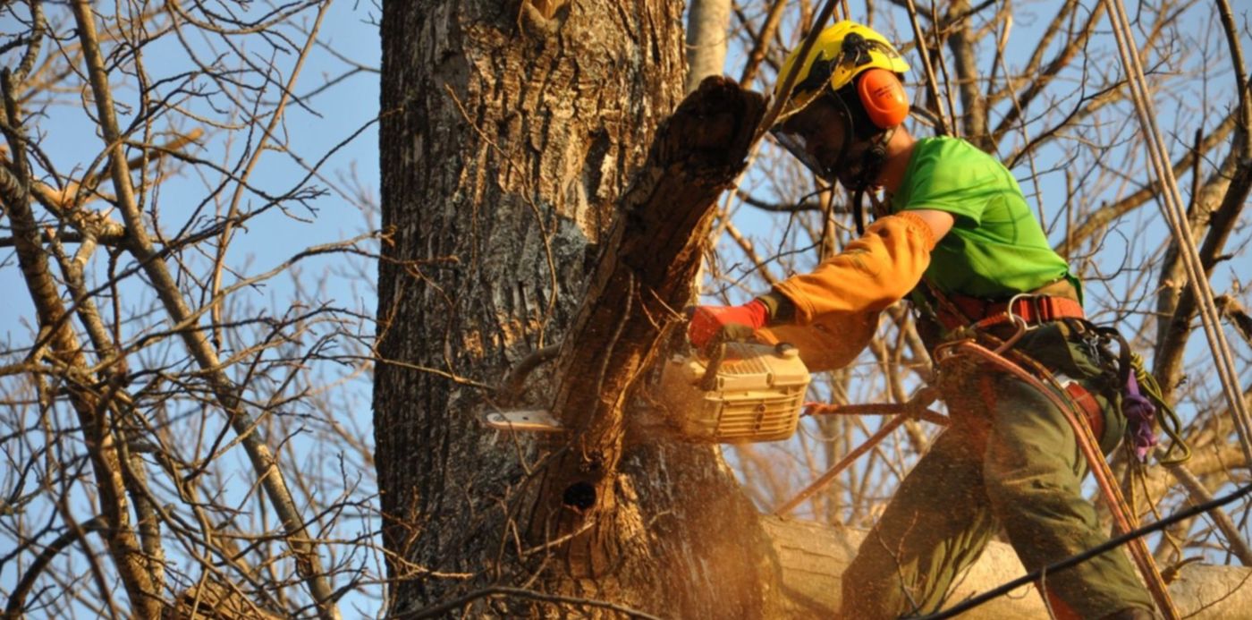 1656171143613.jpg?x=4&y=82&width=1492&height=746&rotate=0&scaleX=1&scaleY=1&ow=1500&oh=996&&cw=1920&ch=950