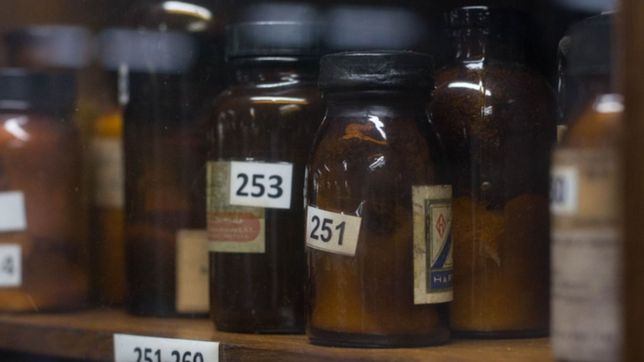 un alumno de la unlp presento la primera tesina sobre cannabis terapeutico en argentina