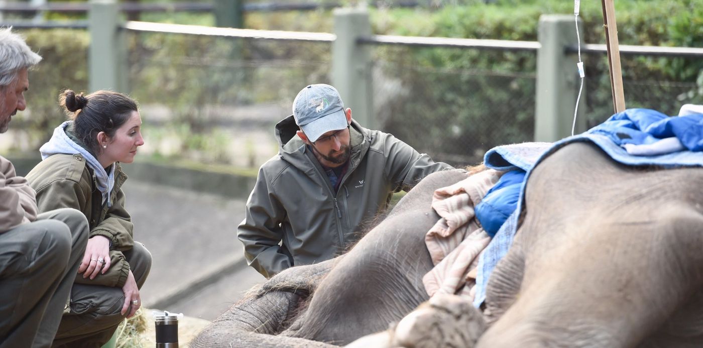 1528064894323.jpg?&cw=1920&ch=950