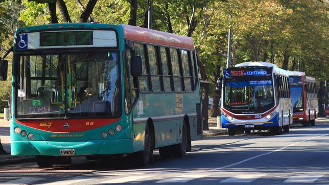 ¿cuantos usuarios renunciaron a los boletos de transporte subsidiados en la provincia?