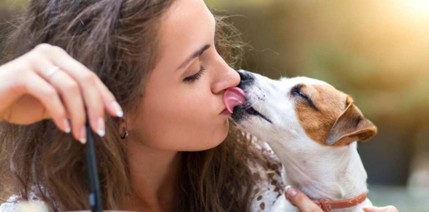 mascotas - beso . bacteria