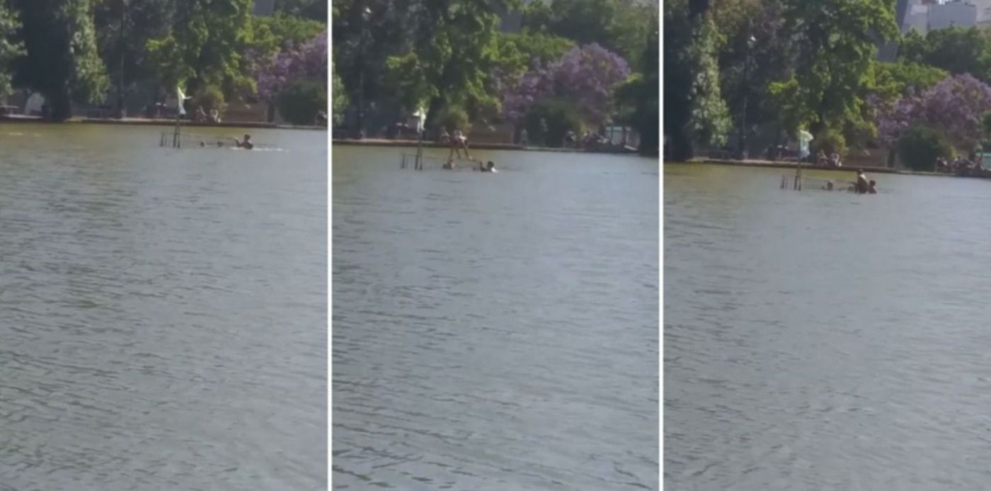 chicos nadando en el Bosque