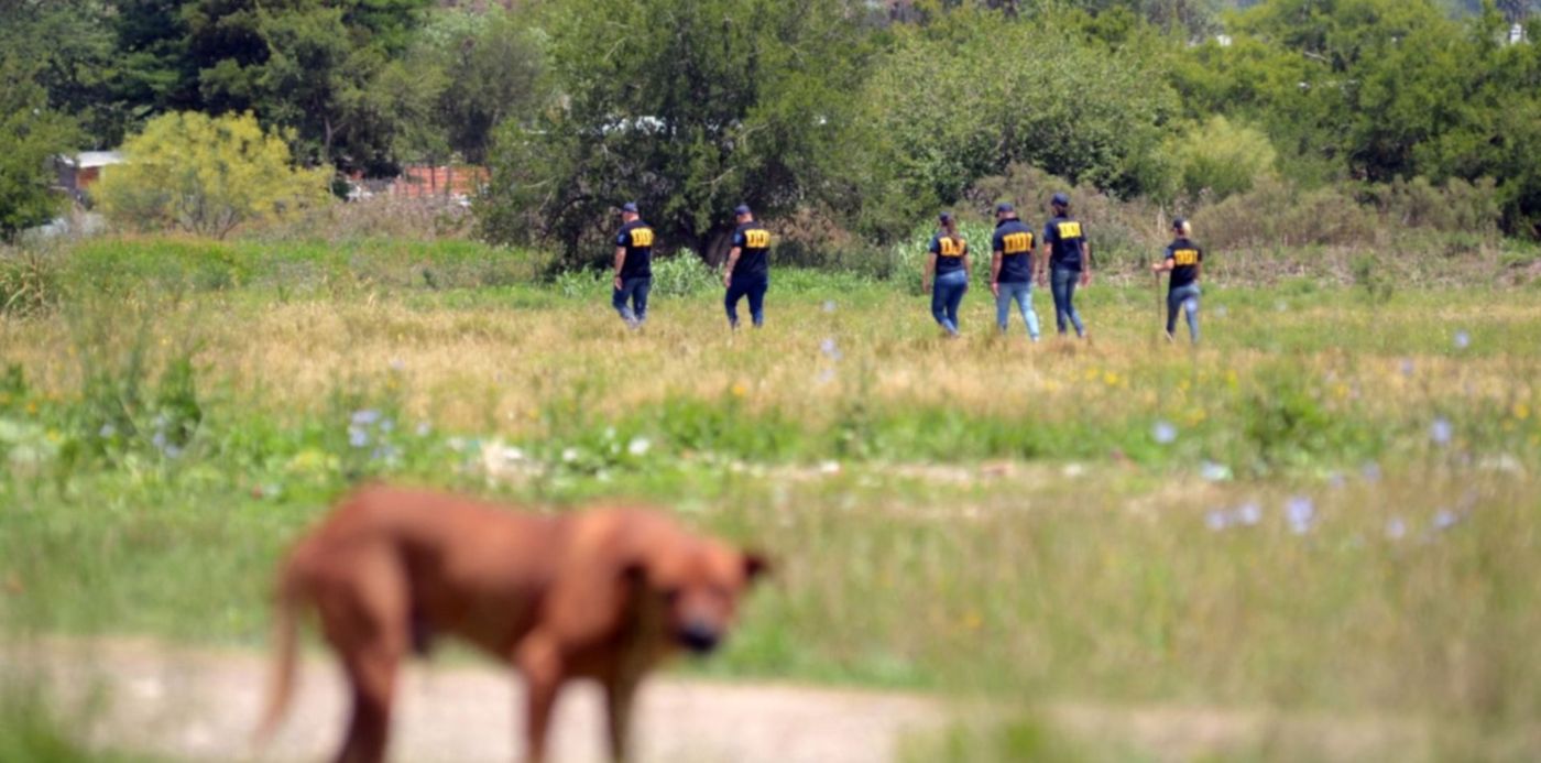 1578343589540.jpg?x=15&y=145&width=1483&height=741&rotate=0&scaleX=1&scaleY=1&ow=1500&oh=1009&&cw=1920&ch=950