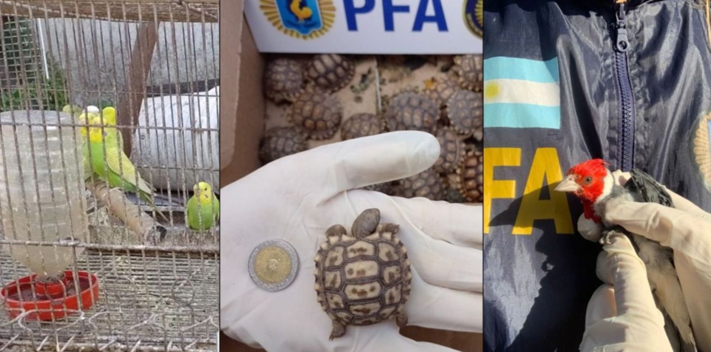 1652308763833.jpg?x=3&y=0&width=1482&height=741&rotate=0&scaleX=1&scaleY=1&ow=1500&oh=742&&cw=1920&ch=950