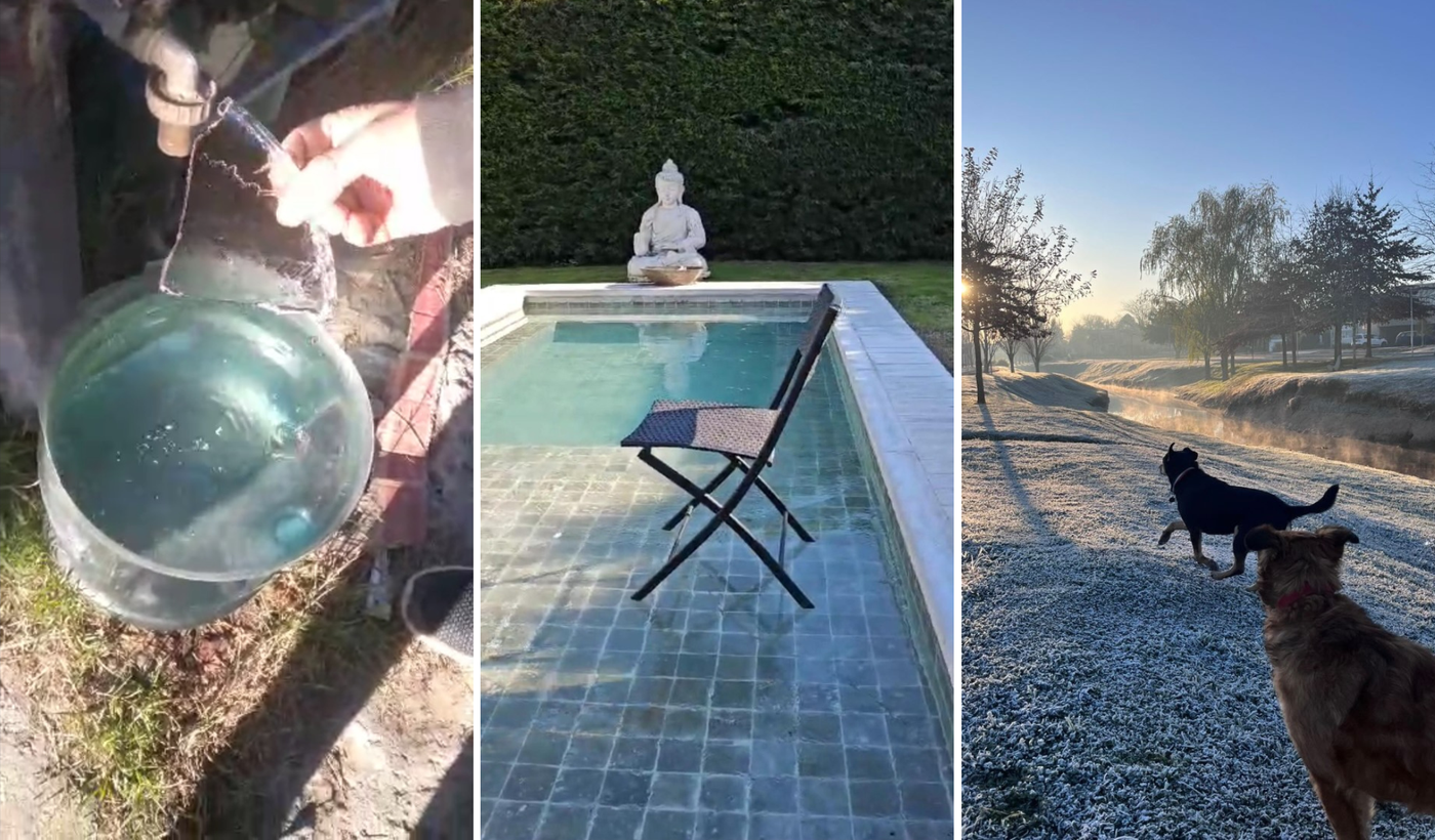 El frío en La Plata.png