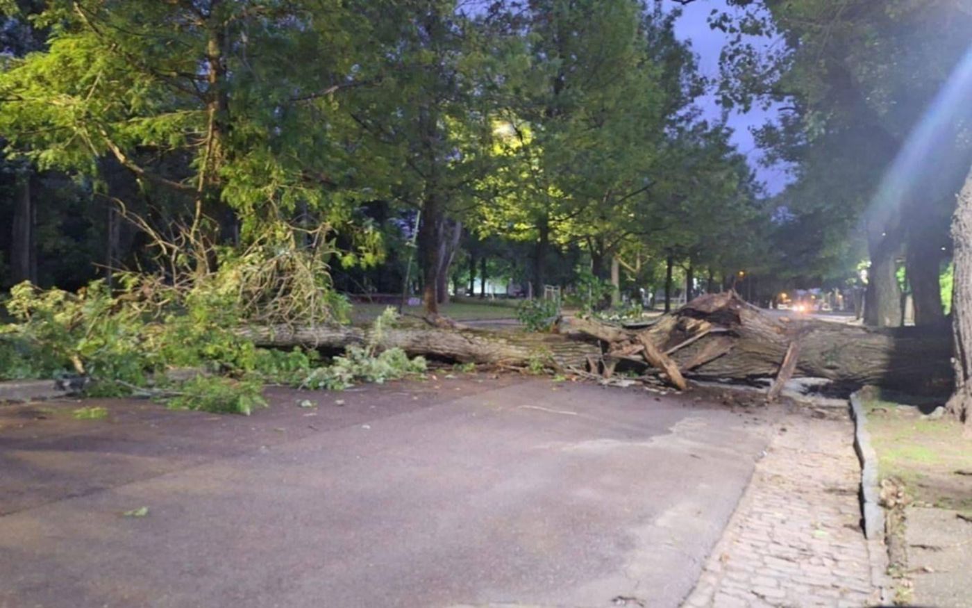 wmremove-transformed