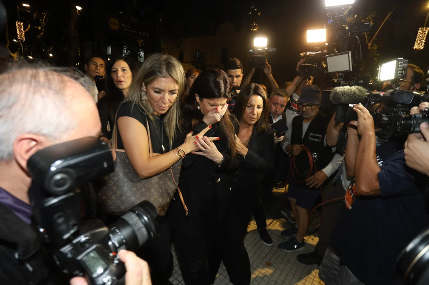 Elba Marcovecchio Lanata.webp