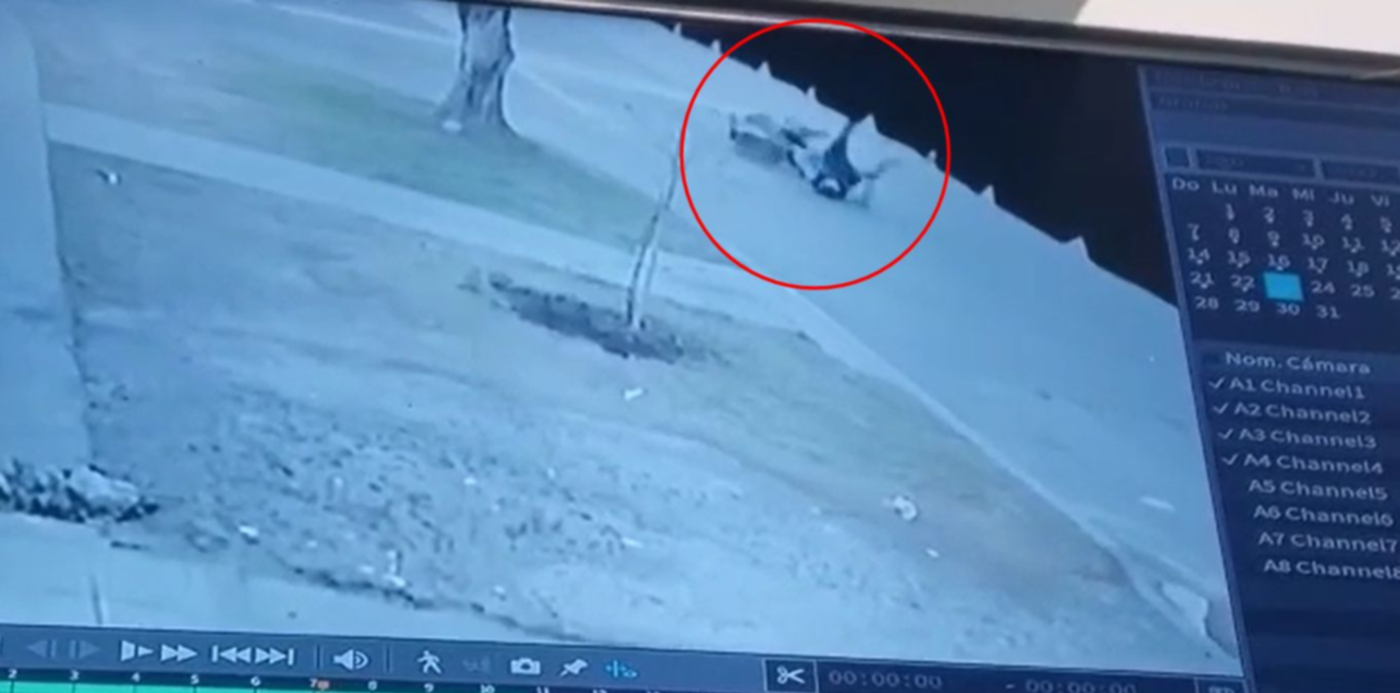 1661376306722.jpg?&cw=1920&ch=950