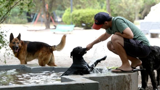por la llegada de ola de calor, convocaron al comite operativo de emergencias municipal