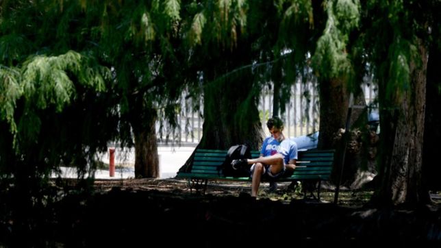la semana sigue con calor y termina con lluvias en la plata
