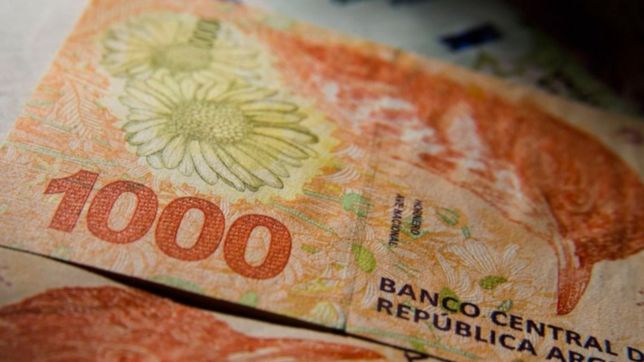 ¿como anotarse al nuevo bono de $5.000 para jovenes que confirmo la anses?