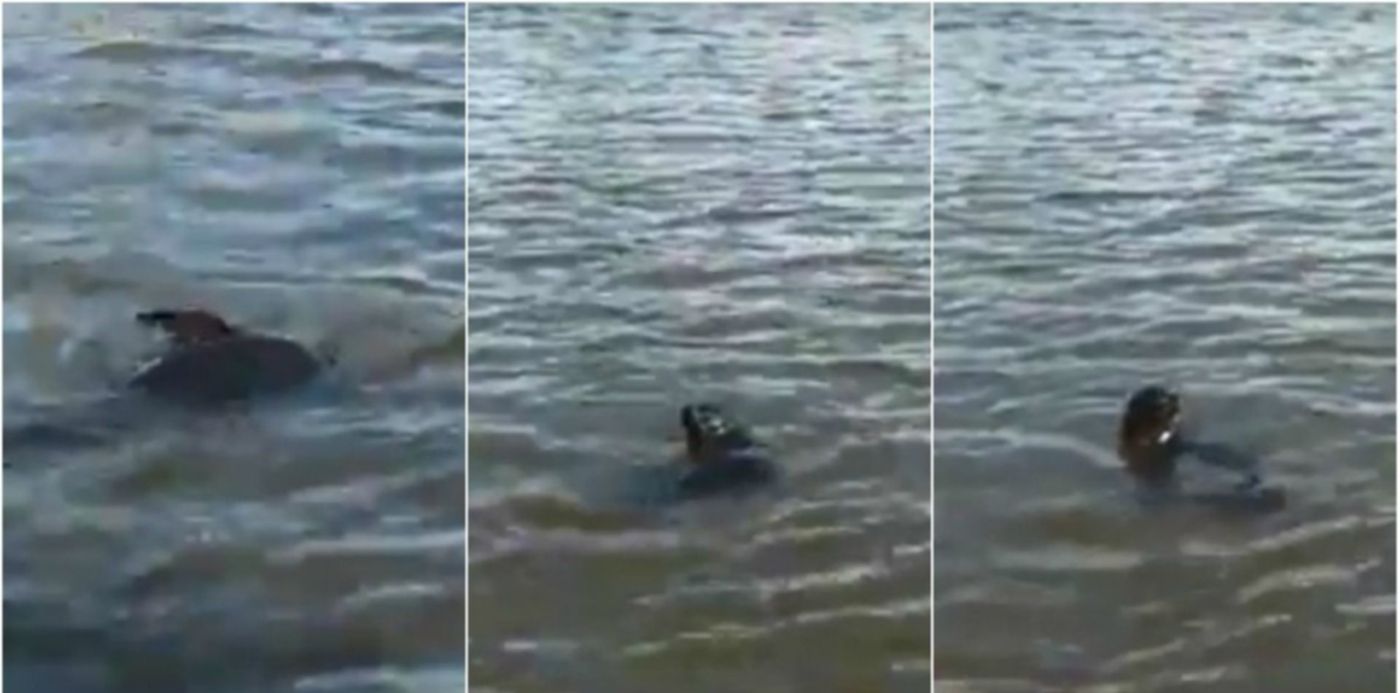 1531436321714.jpg?&cw=1920&ch=950