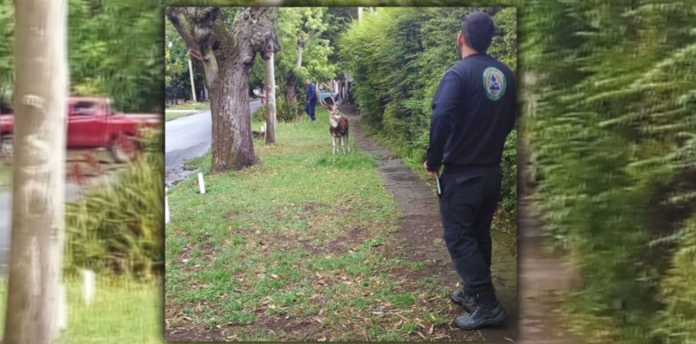 1671137273026.jpg?x=48&y=12&width=1434&height=718&rotate=0&scaleX=1&scaleY=1&ow=1500&oh=742&&cw=1920&ch=950