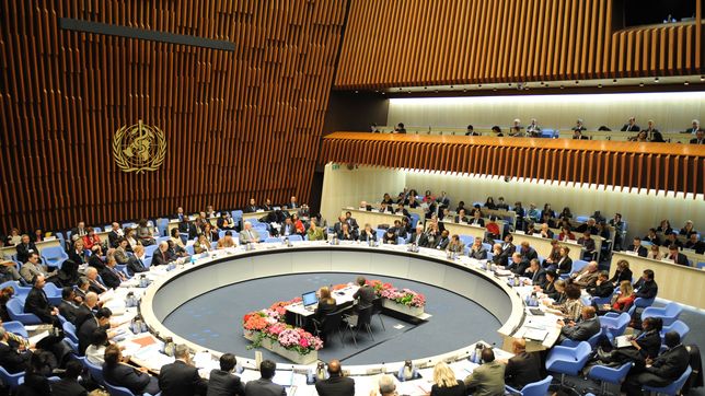 ¿cuales son los seis lotes de fentanilo contaminado por los que la oms lanzo una alerta internacional?